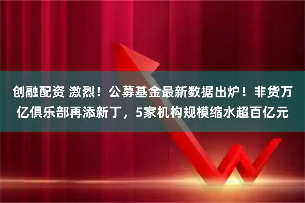 创融配资 激烈！公募基金最新数据出炉！非货万亿俱乐部再添新丁，5家机构规模缩水超百亿元