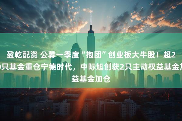 盈乾配资 公募一季度“抱团”创业板大牛股！超2000只基金重仓宁德时代，中际旭创获2只主动权益基金加仓